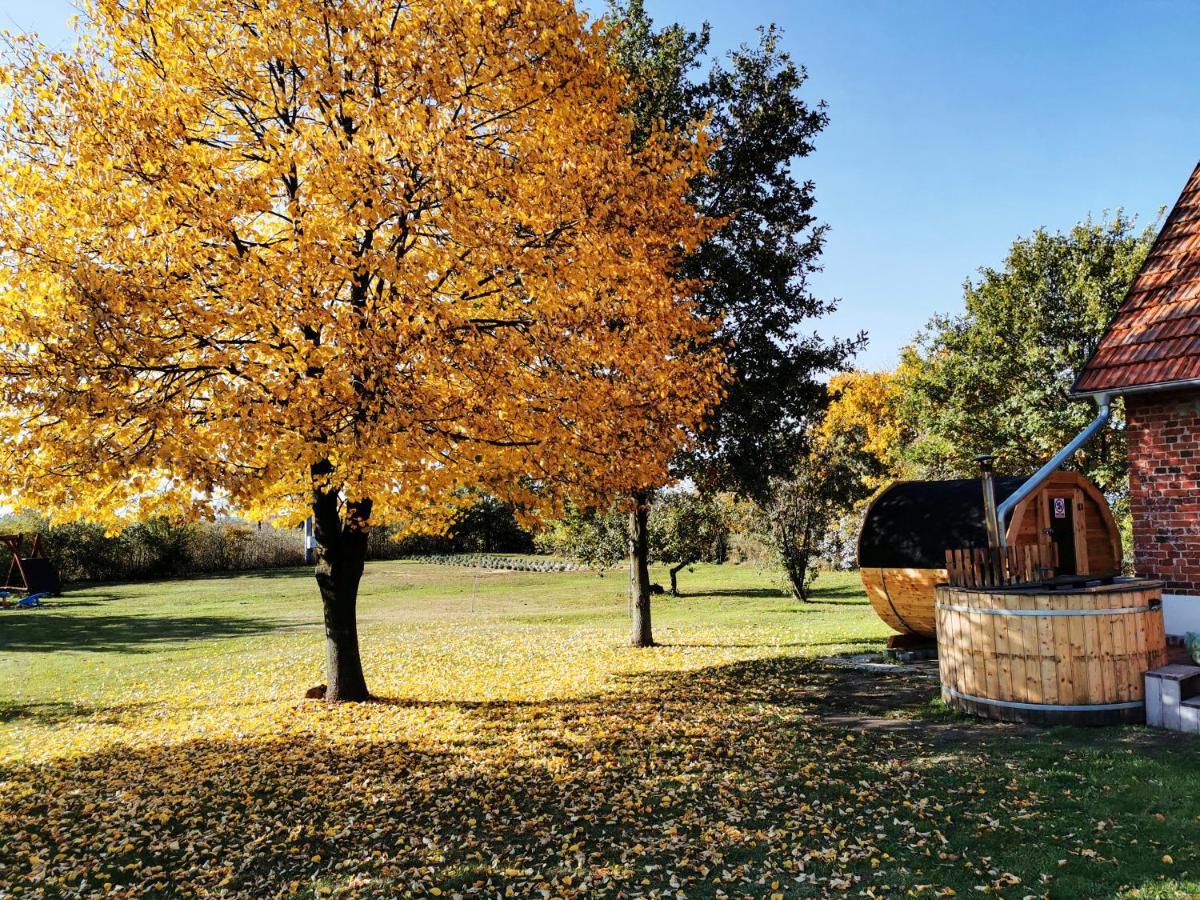 Agroturystyka Ginkgo Sulislaw  Extérieur photo